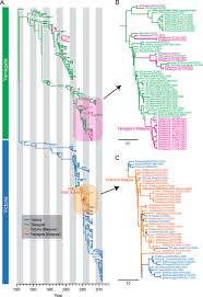 The ministry, he said, would strengthen the monitoring and alert mechanism through the influenza surveillance system in malaysia. Evolution Of Influenza B Virus In Kuala Lumpur Malaysia Between 1995 And 2008 Journal Of Virology