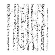 Black And White Birch Tree Wall Art Mr Perswall Wall Art Tree Wall Panel 185 Liked On Polyvore Featuring Home Home Decor Wall Art Bac Tree Wallpaper Mural Birches Wallpaper Tree Wallpaper