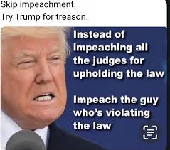 Liz Cheney/Adam Kinzinger Against Trump