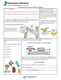 Multiple allele and punnett squares handout made by the amoeba sisters. Amoeba Sisters Cell Types