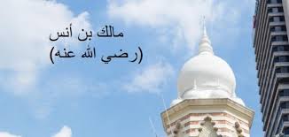 ما هو المذهب المالكي - موضوع
