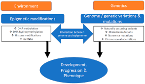 Check spelling or type a new query. Ijms Free Full Text Epigenetics And Heart Failure Html