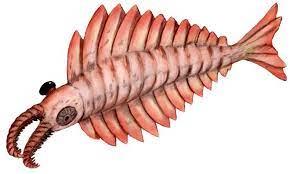 540 million years ago.footage from the 2011 documentary, earth: Giant Vicious Looking Ancient Shrimp Was A Disappointing Wimp Wired