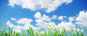 We have been taking care of some of our. Lawn Care Maintenance Services Cold Spring St Cloud Sauk Rapids Mn Total Lawn Care Inc