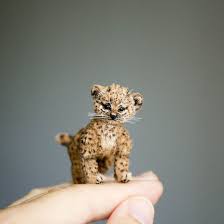 Pin On Cheetahs And Leopards