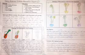 Maybe you would like to learn more about one of these? Anany2 Food Coloring Flower Experiment Worksheet