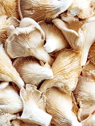 We're doing our first batch of pearl oysters! Oyster Mushrooms 101 Buying Cleaning Recipes And More