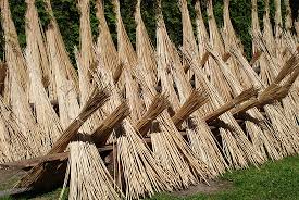 Ako si vyrobit pruteny plot. Zostavte Si Vlastne Vyrobky Pre Kutilov Pruteny Plot Urobte Si Pruteny Plot Ako Si Vyrobit Pruteny Plot Sami