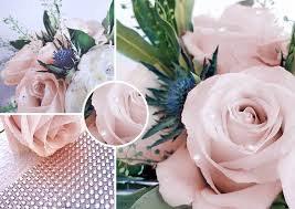 You see an old couple walking on the street and holding hands. Wedding Anniversary Milestones Flying Flowers