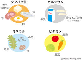 身長を伸ばす食事・栄養とは