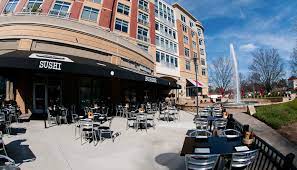 Alpha Canvas Sushi Burger Canvas Awnings Awning Shade