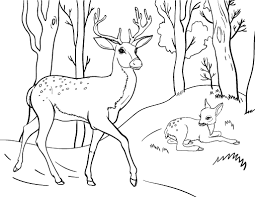 Your child will love coloring his favorite zoo animals. Printable Deer Coloring Page Free Pdf Download At Http Coloringcafe Com Coloring Pages D Deer Coloring Pages Farm Animal Coloring Pages Super Coloring Pages
