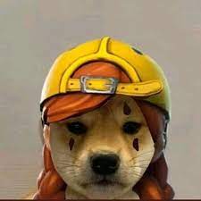 Trending Videos On Tiktok In 2021 Meme Anjing Meme Anjing Lucu Anjing Lucu