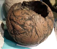 27 cm hoch, 13cm durchmesser oben. Folgekurs Betonkugeln Schwarzen Und Bepflanzen 1x2 Std Exkl Mat Mondblume Blumen Kurse Geschenke