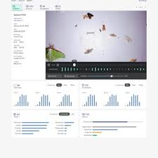 PDF) A machine learning pipeline for automated insect monitoring