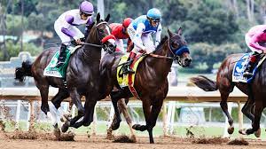 The Super Optimized Dirt That Helps Keep Racehorses Safe Wired