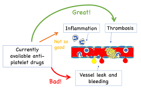 Image result for Drug Induced Platelet Dysfunction