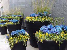 Large Flower Pot Ideas Recent Photos The Commons Getty Collection Galleries World Map App Large Flower Pots Outdoor Flower Planters Flower Pots