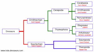 dinosaur classification for kids