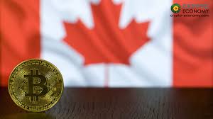 Tim found a deal on a living room set at an online vendor that accepts bitcoin. Sazmining Inc Partners With Drillbit Crypto And Horseshoe Power To Expand Its Mining Business To Canada Crypto Economy