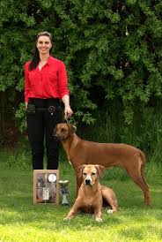 Image result for rhodéský ridgeback