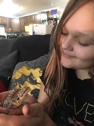 New member seeking bearded dragon information