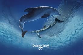 Dolphin Tale 2 Winter Hope Circle Poster Dolphin Tale Dolphin Tale 2 Dolphins