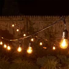 Bulbrite 14 Incandescent Decorative String Light Zola