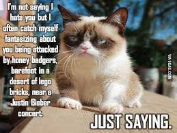 Grumpy Cat Strikes Again Grumpy Cat Humor Funny Grumpy Cat Memes Grumpy Cat Quotes