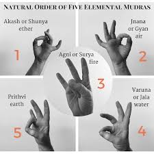 The Secret Life Of The Body Mudras Day 7 Meditation For