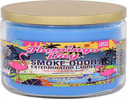 Pet odor exterminator 13oz jar candles are great for removing odors from smoke, pipe, cigars, all types of tobacco products, cooking, mildew, musty smells and all odors related to our furry and feathered friends. Smoke Odor Exterminator Air Fresheners Sears