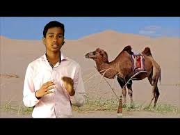 He also said that it. Ncert Class 8 English How The Camel Got His Hump Chapter 1 Hindi By Ncert Exam Guide