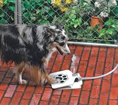 Pin By Lucienolette Com On Gardening In 2020 Dog Fountain Dog Water Fountain Pet Water Fountain