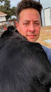 I just took in 4 dogs because the owner couldn't keep them anymore for  personal reasons. So here we go! I need your help finding them homes. The  owner says they are at least 1/4 basenji 1/4 red healer ...