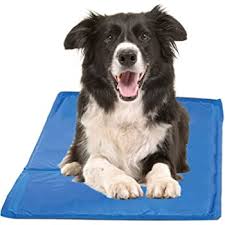 Currently, the best cooling pad for dogs is the green pet shop mat. Amazon Com Chillz Cooling Mat For Dogs Large Pressure Activated Gel Dog Cooling Mat No Need To Freeze Or Refrigerate This Cool Pet Pad Keep Your Pet Cool Use