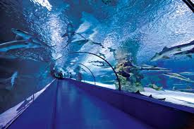 Antalya Aquarium Antalya Turkey Polin Group