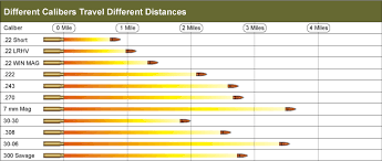 how far bullets travel