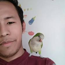 David Enamorado (jenamoradoc)