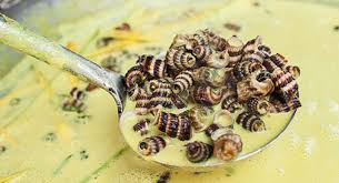 Ayam masak lemak cili api | resepi original negeri sembilan. Siput Sedut
