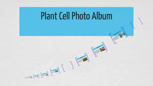 We did not find results for: Plant Cell Photo Album By Cooper Felt