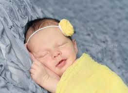 Amy Whitsitt Photography