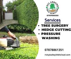 Looking for some quotes for someone to clear a small area at the rear of my  property of overgrown weeds/brambles please