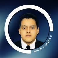 50+ "Marco Mujica" profiles