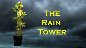 I did this experimentally several years ago, planting basil and bok choy in my diy garden tower. Home Made Vertical Hydroponic System Instructables