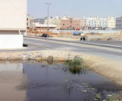 المستنقعات تحاصر نور الدمام و البلدية لـ مراجع ادفنها أنت جريدة الوطن