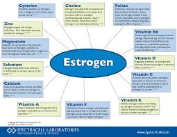 Feb 05, 2021 · reducing alcohol consumption can help reduce estrogen levels in men and women. Nutrient Correlation Wheel On Estrogen