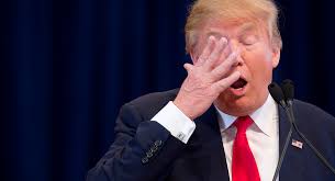 Intuitive fred888: As Donald Trump Repels all Minority voters---