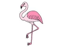 Next draw one tiny circle and fill it in for the eye. Pink Flamingo Drawing Archives How To Draw Step By Step