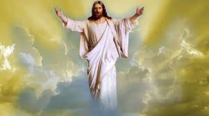 Artikel Archives Sekolah Tarsisius Vireta