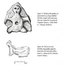 Image result for toad gods